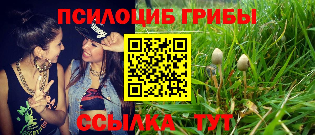 Галлюциногенные грибы Psilocybine cubensis Дюртюли