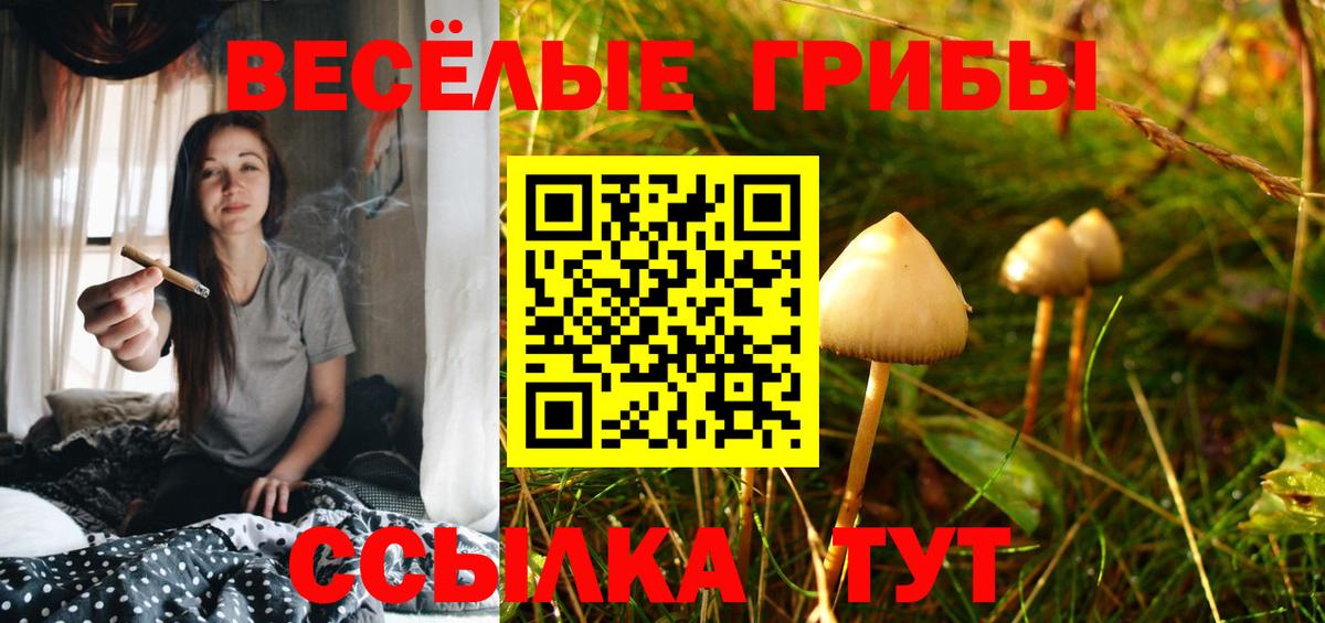 Псилоцибиновые грибы MAGIC MUSHROOMS  Вход с VPN  где можно купить   Дюртюли 